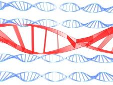 dna_small